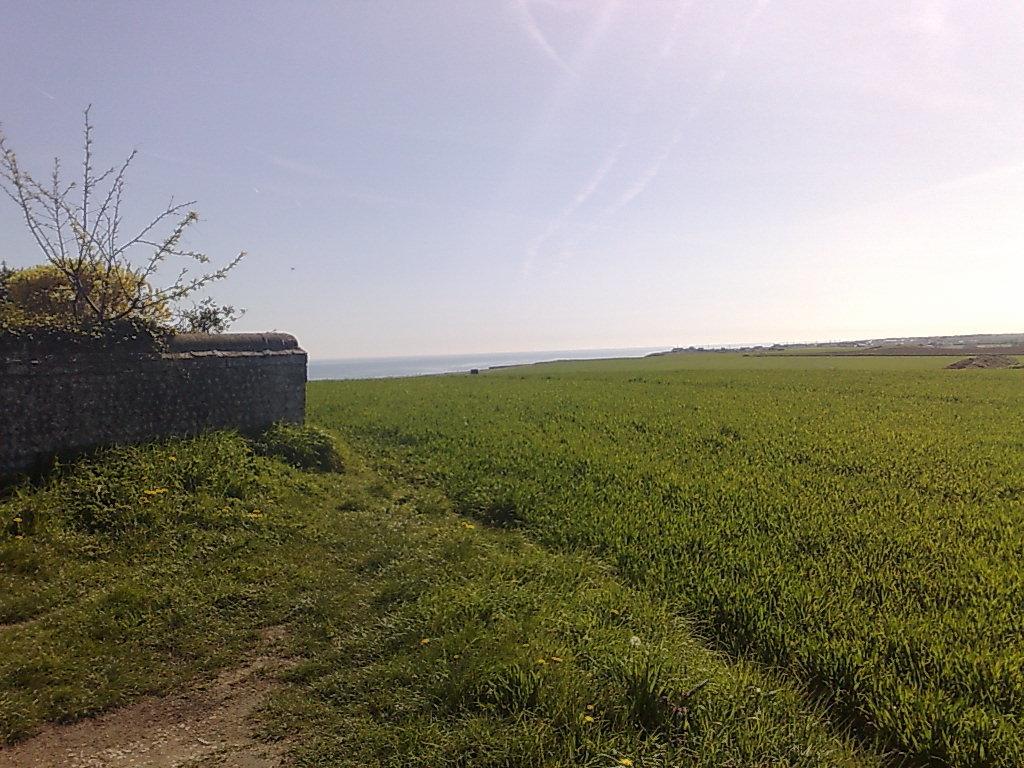 Seaview Cottage Bacton  Екстер'єр фото